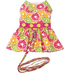 Citrus Slice Dog Dress with Matching Leash (size: X-Large)